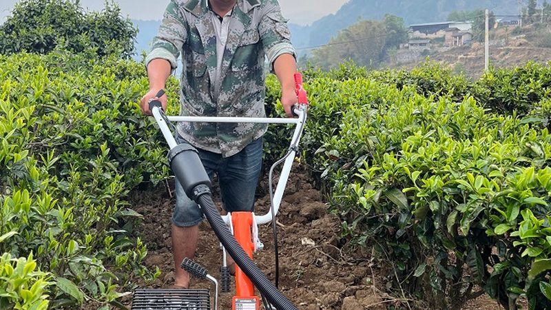 资质要求：保障交易安全