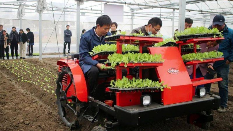 青储机租赁：现代农业种植新趋势